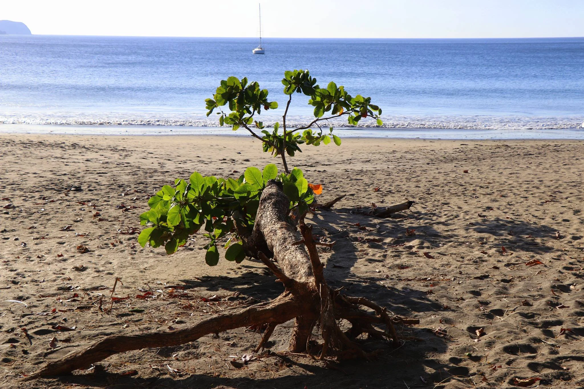 Foto do album Playa Hermosa