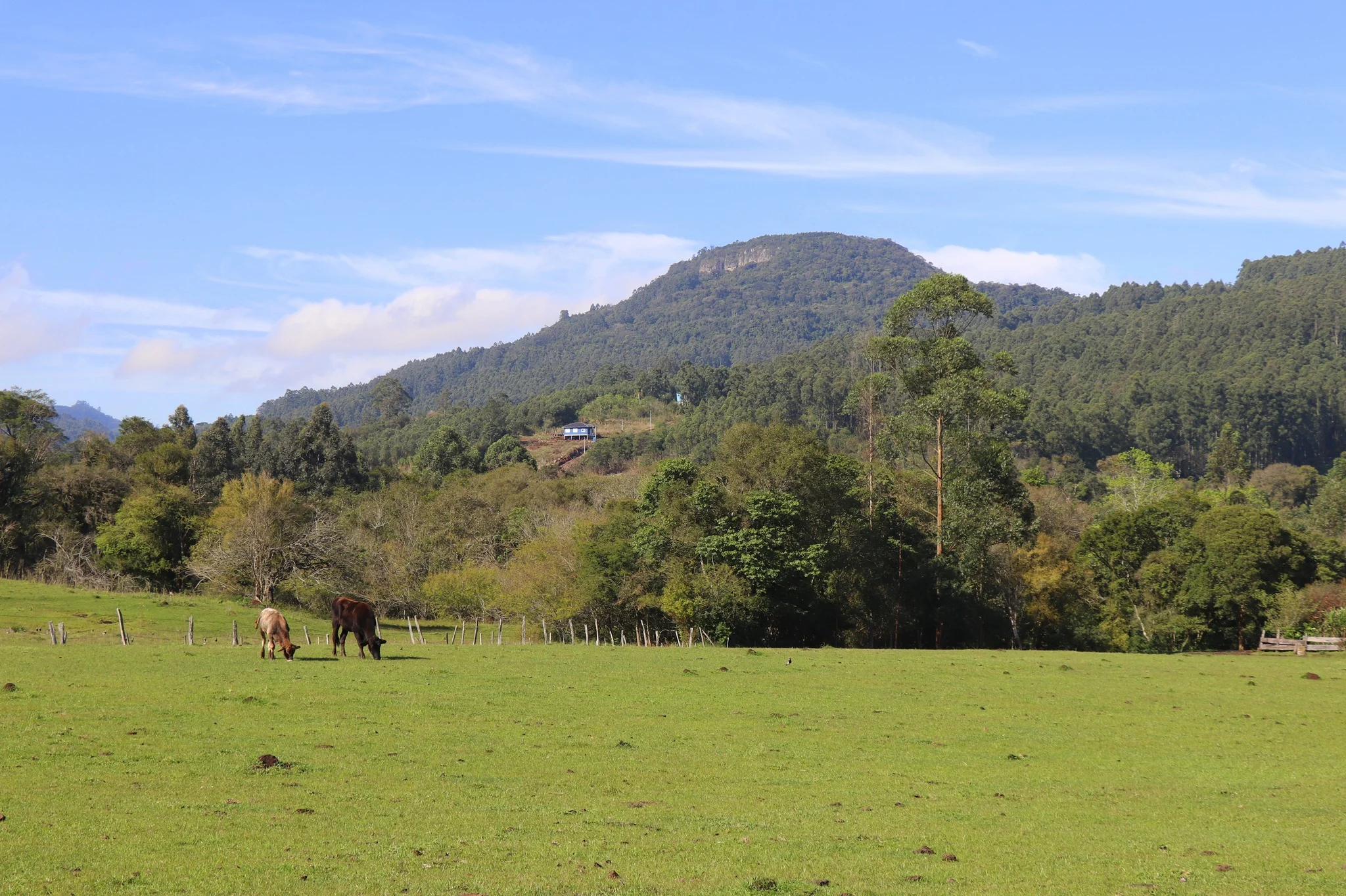 Foto do album Poço das Antas