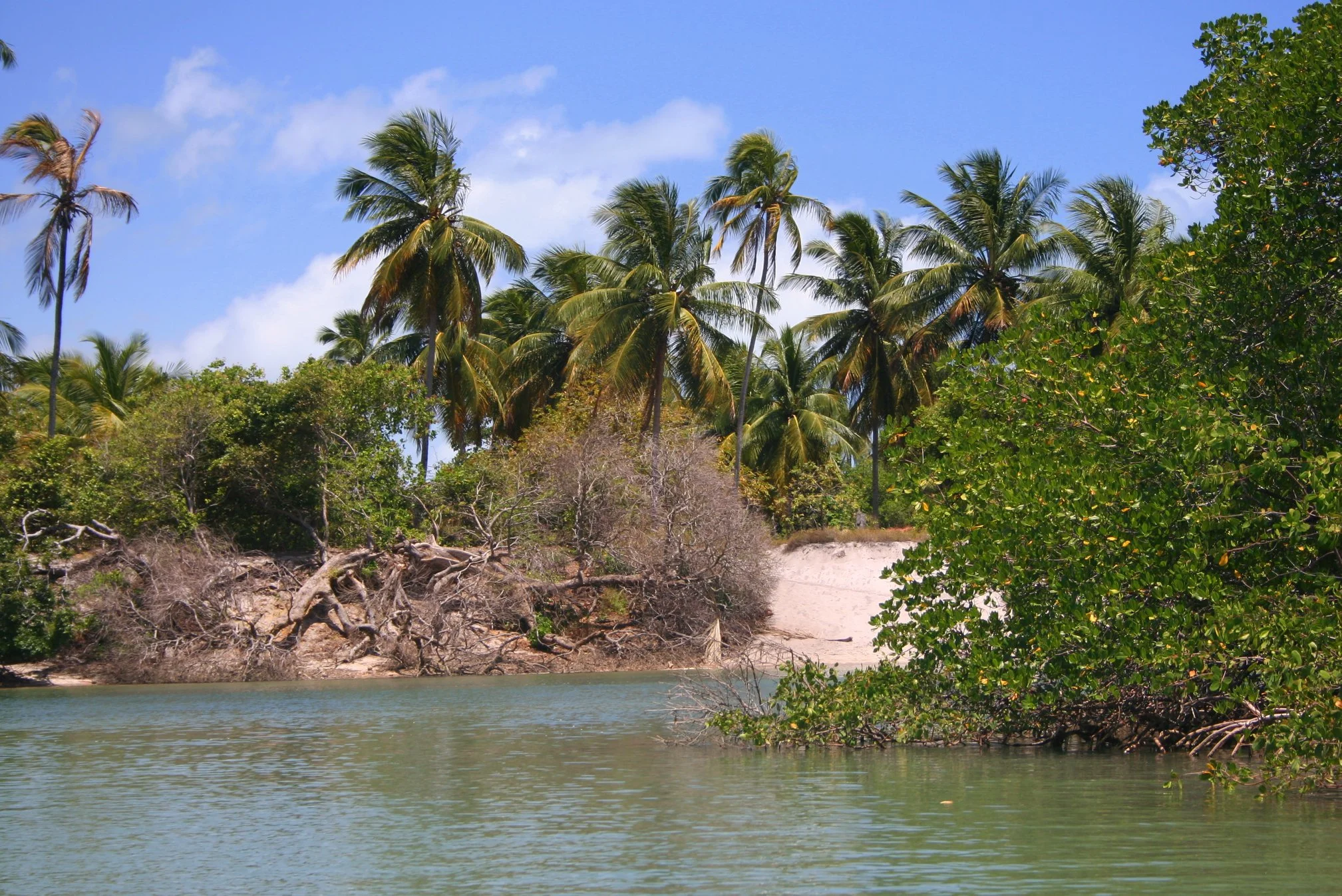 Foto do album Porto de Galinhas