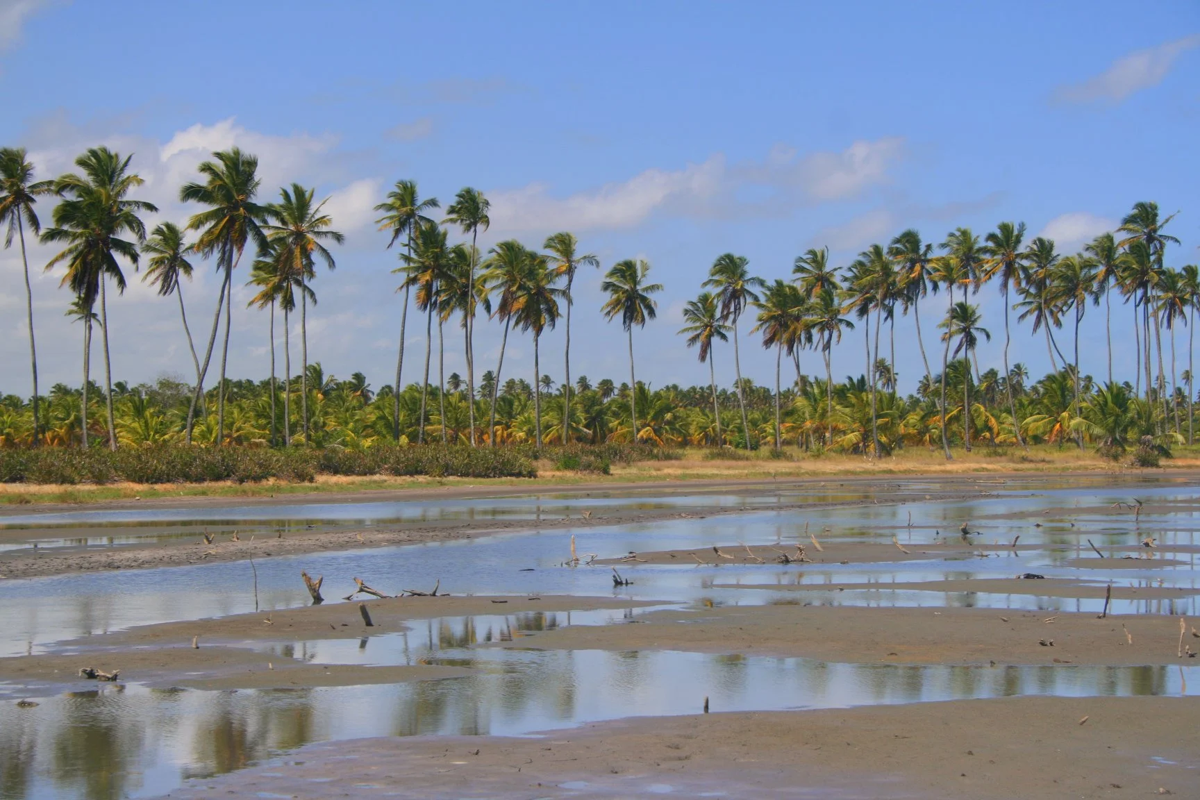 Foto do album Porto de Galinhas