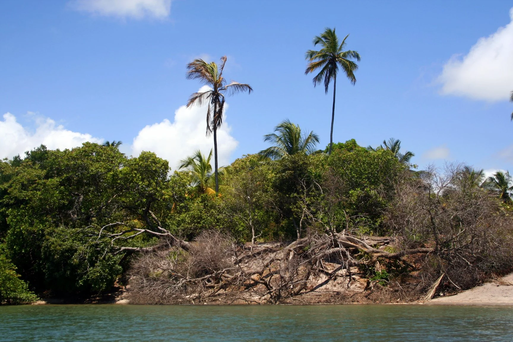 Foto do album Porto de Galinhas
