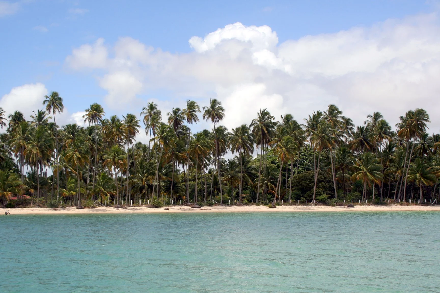 Foto do album Praia dos Carneiros