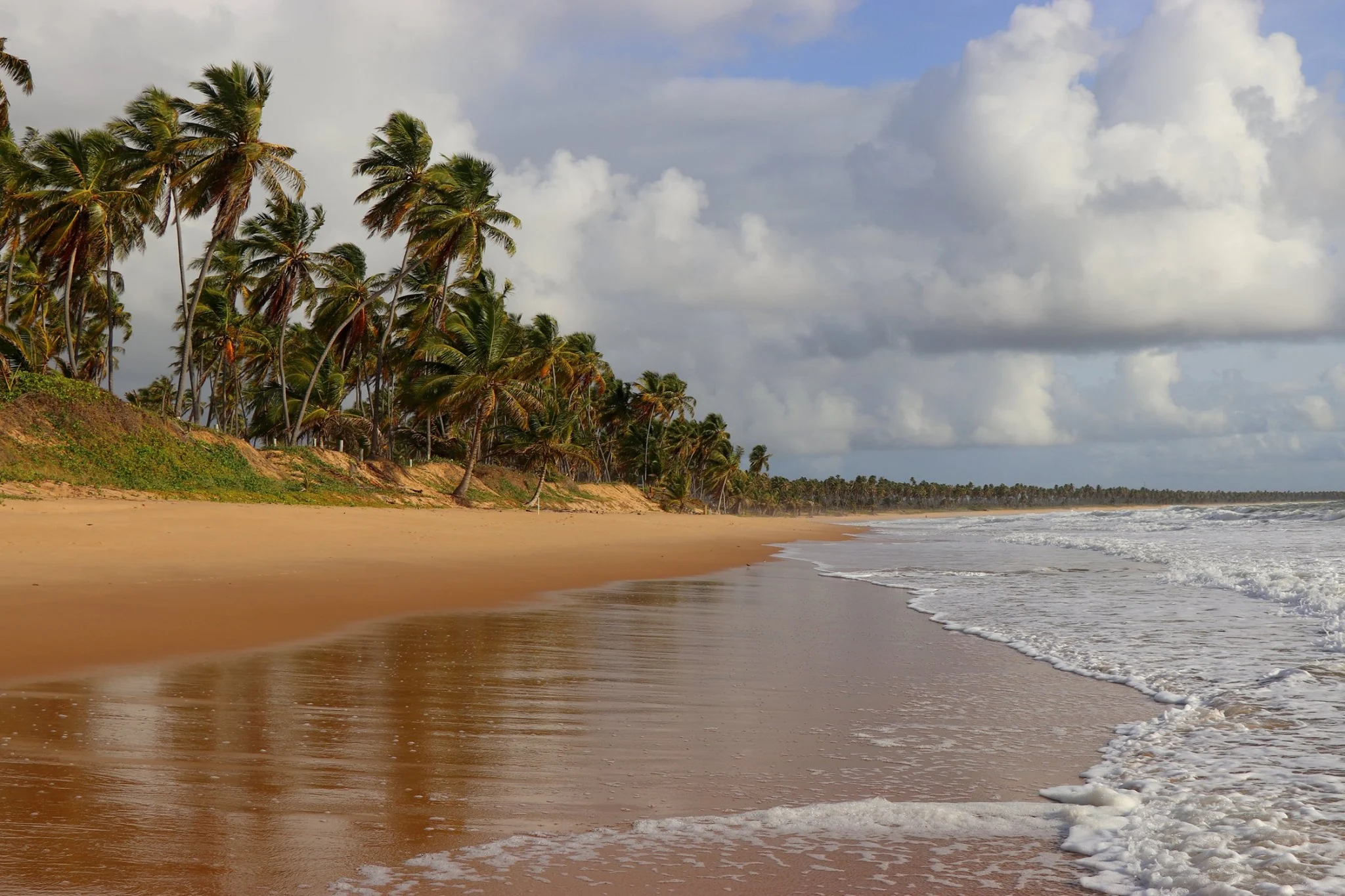 Foto do album Praia do Forte