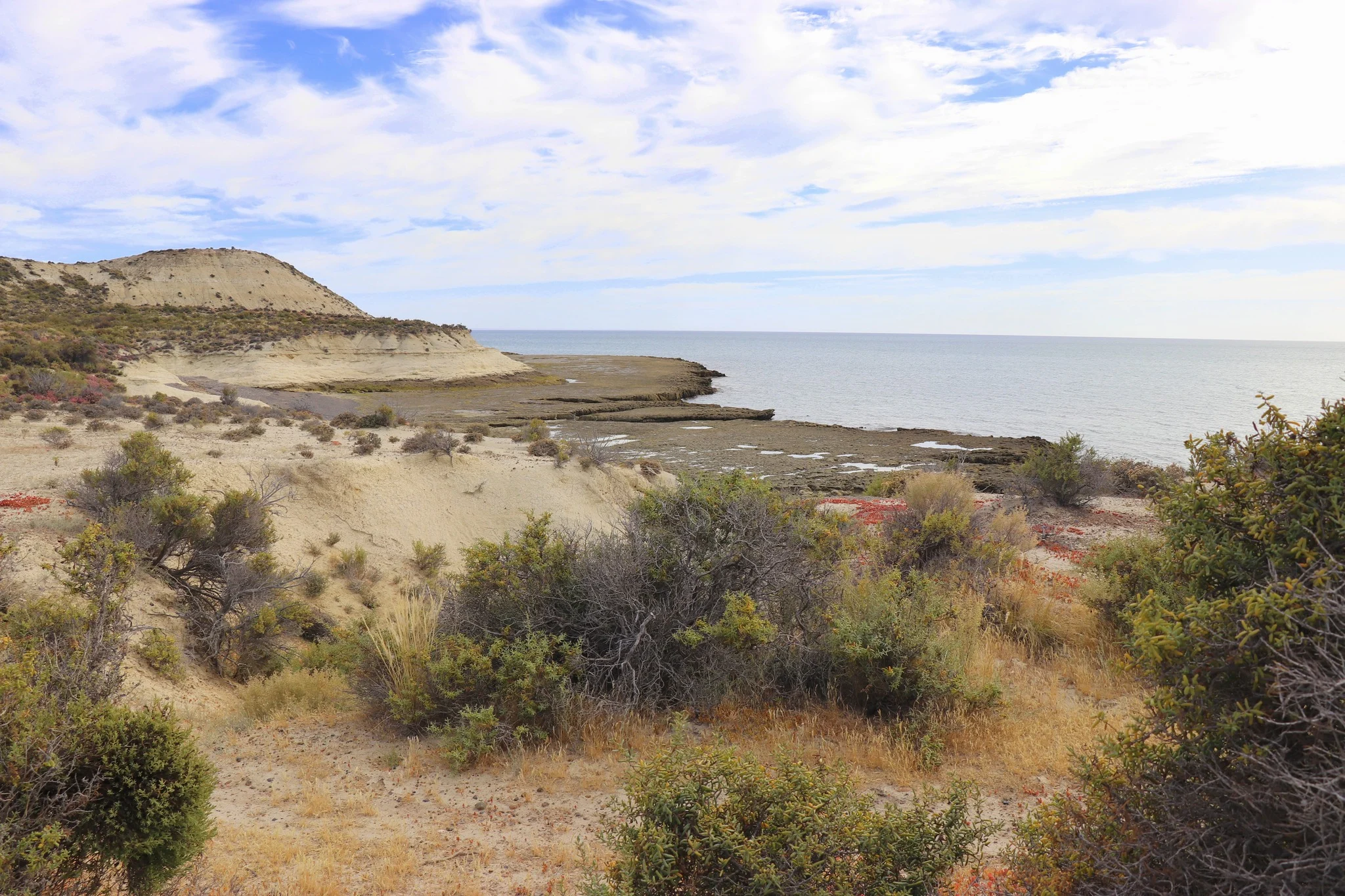 Punta Loma