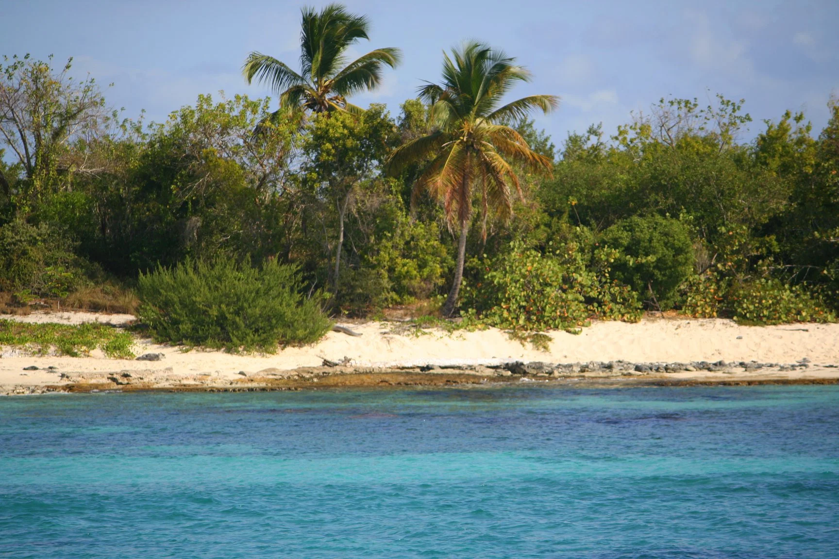 Foto do album Punta Cana