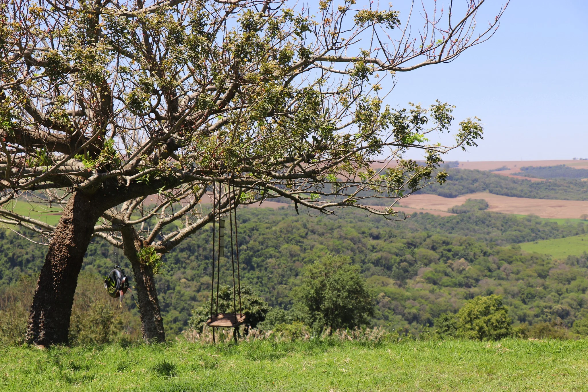 Foto do album Ramilândia