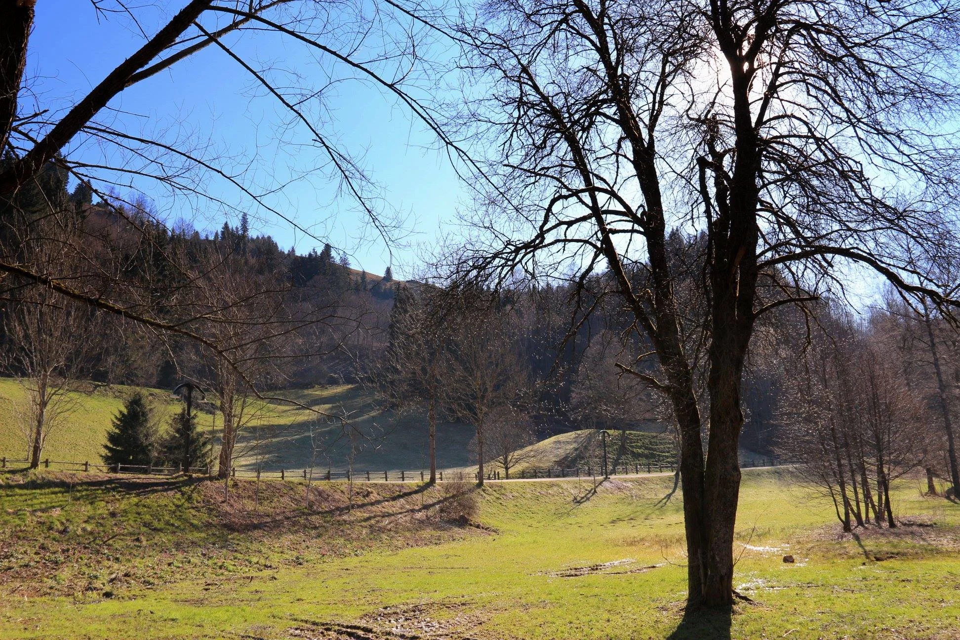Paisagem de Breitnau/Hinterzarten