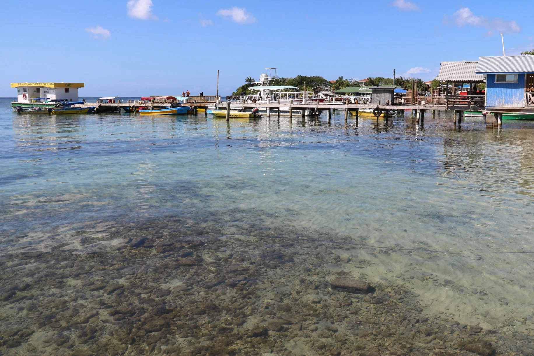 Foto do album Roatán