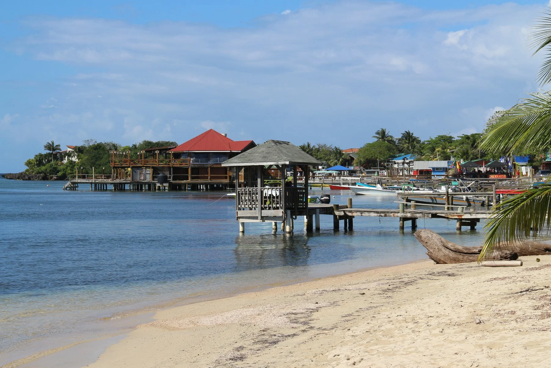 Foto do album Roatán