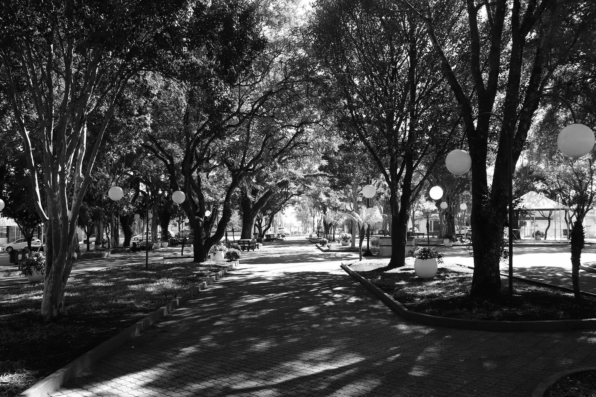 Foto do album Rodeio Bonito