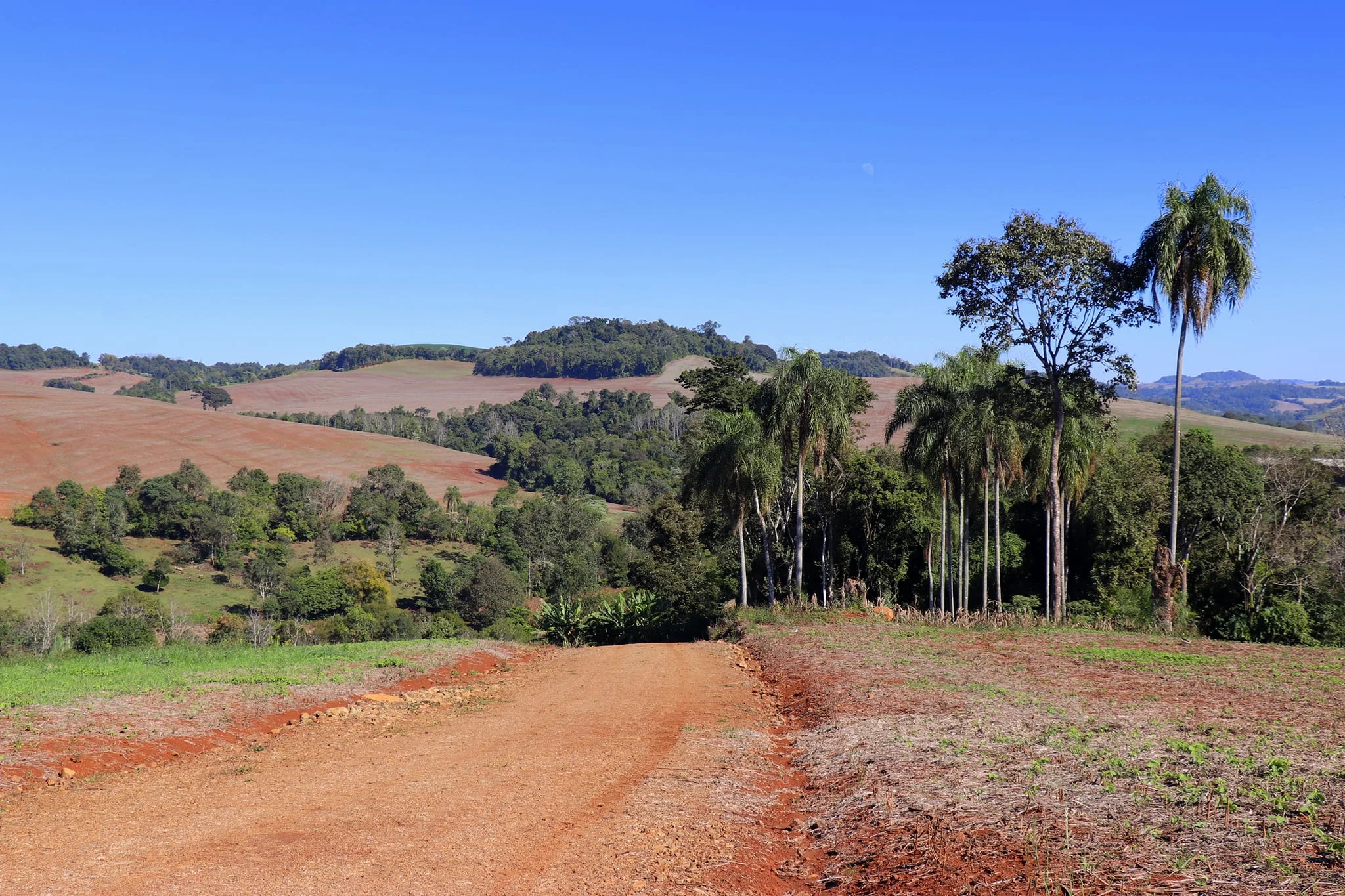Foto do album Rodeio Bonito