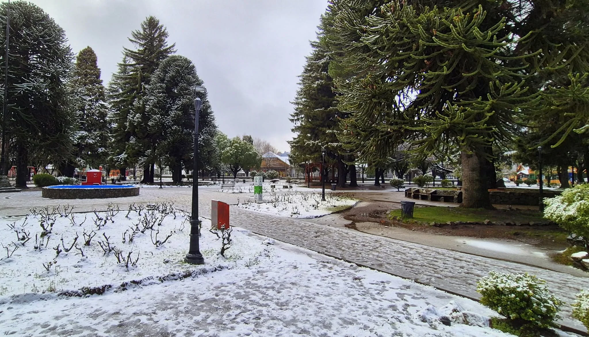Foto do album San Martín de los Andes