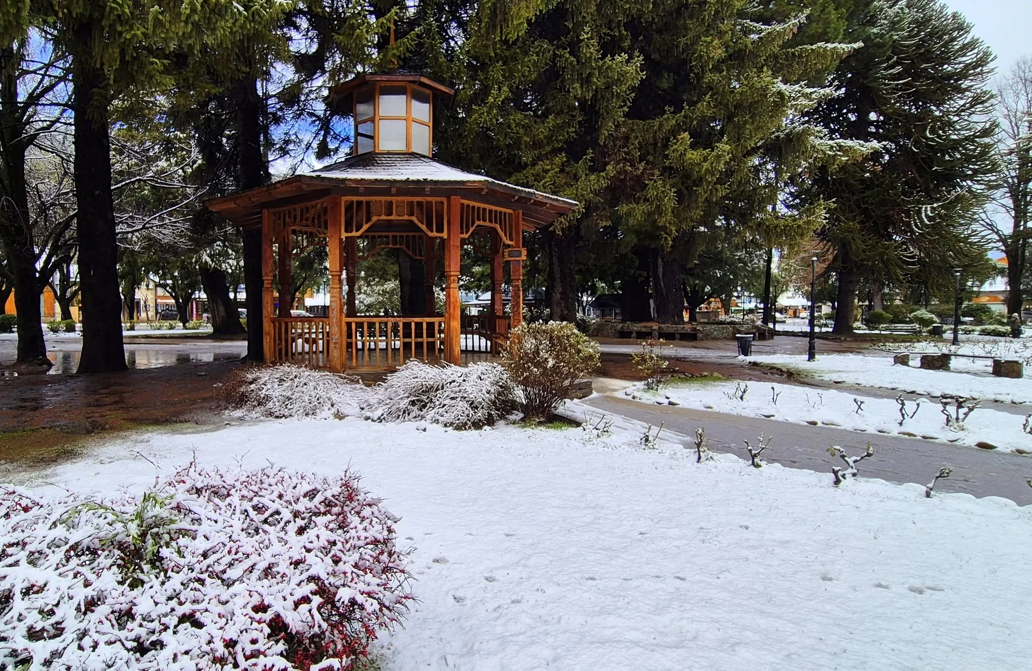 Foto do album San Martín de los Andes