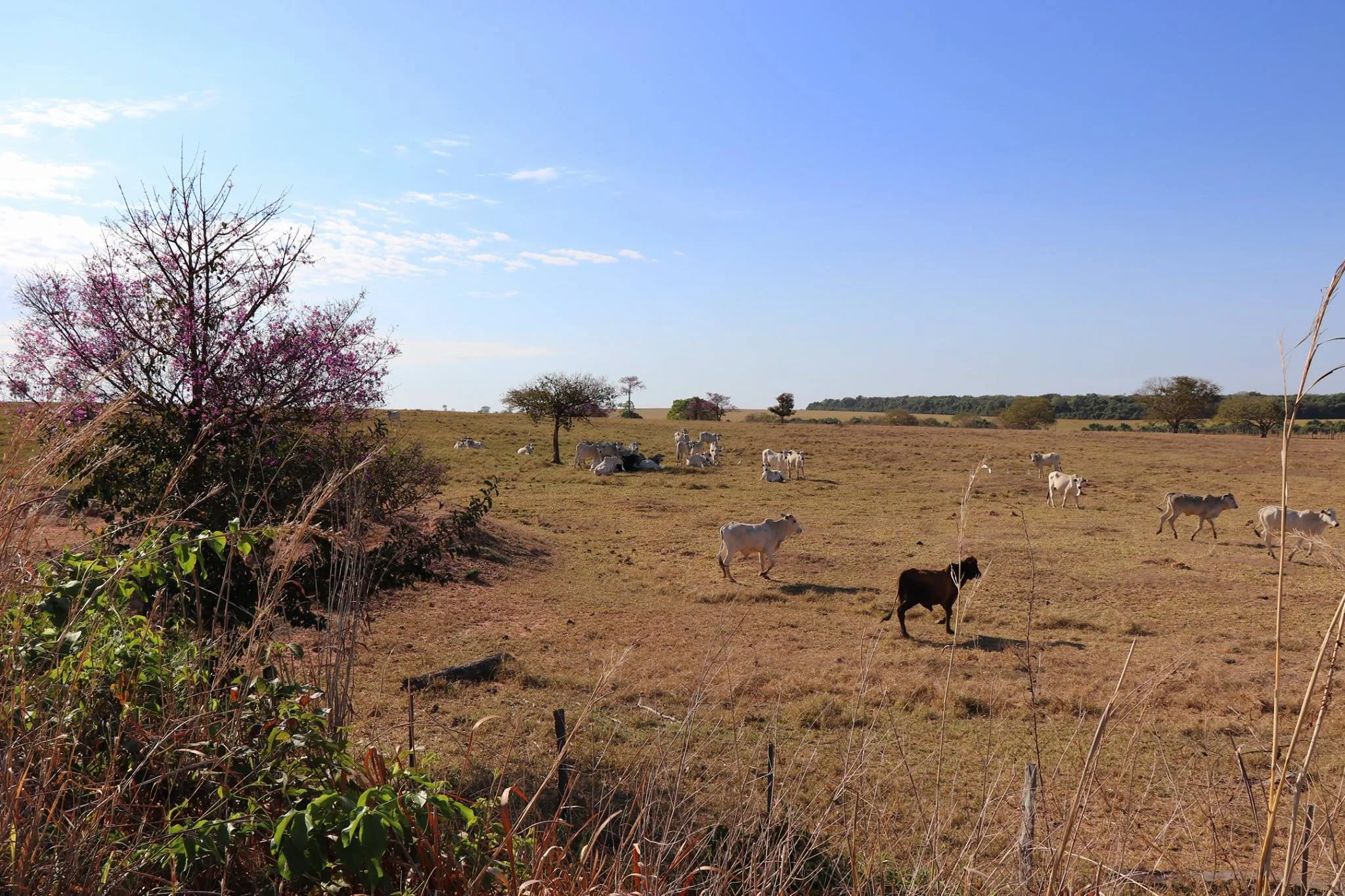 Foto do album Santo Afonso