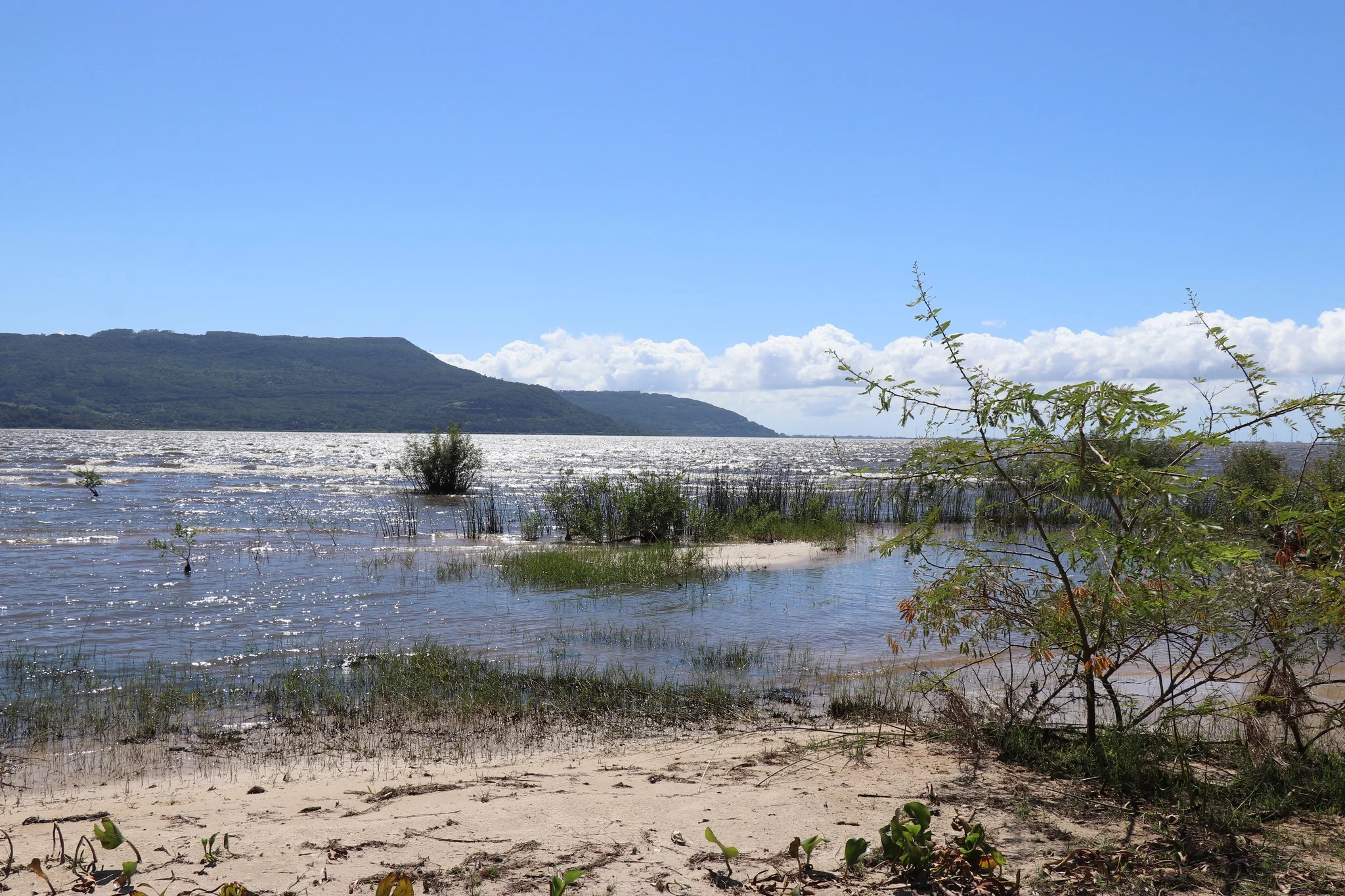 Foto do album Santo Antônio da Patrulha