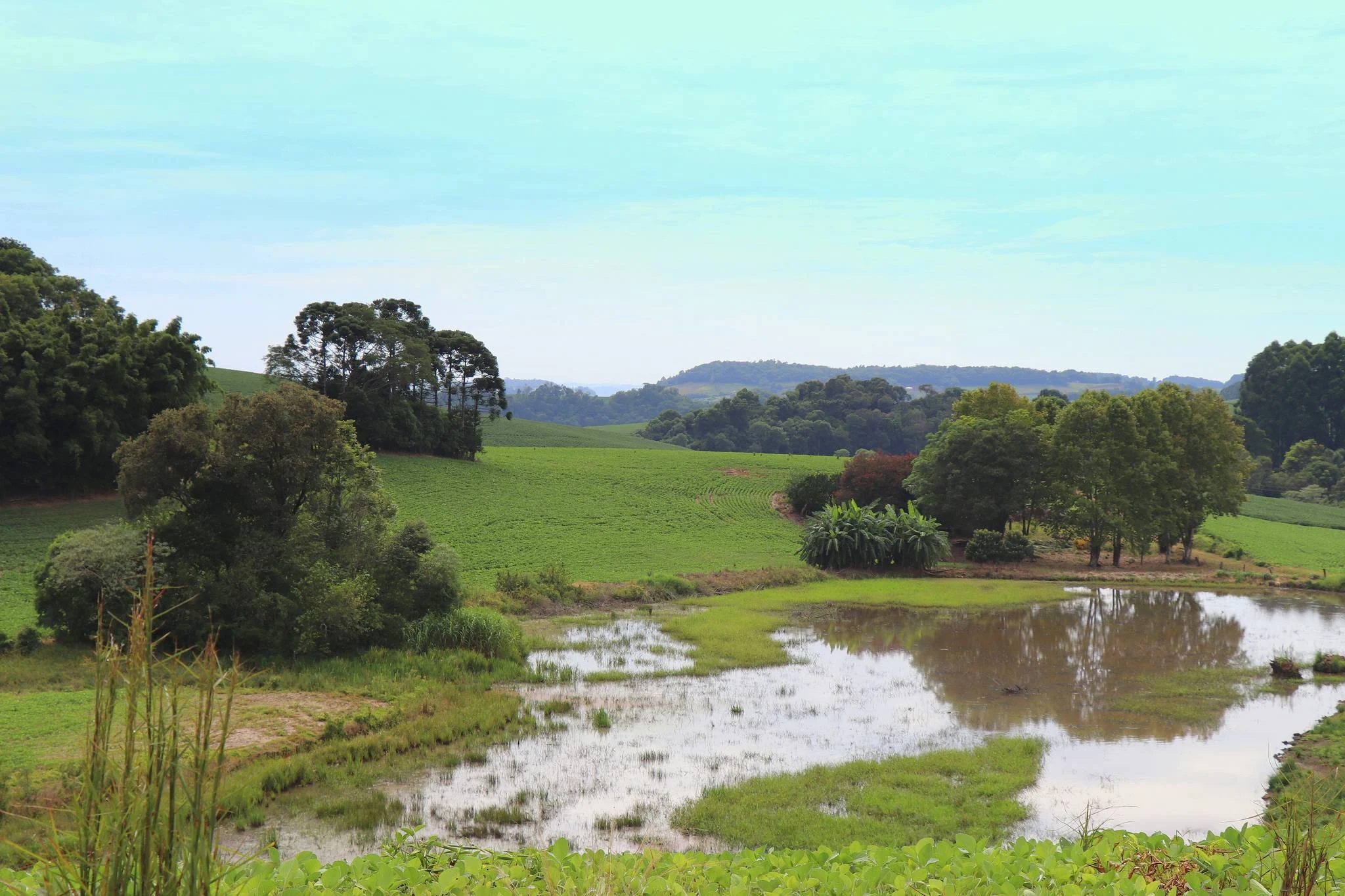 Foto do album São José das Missões