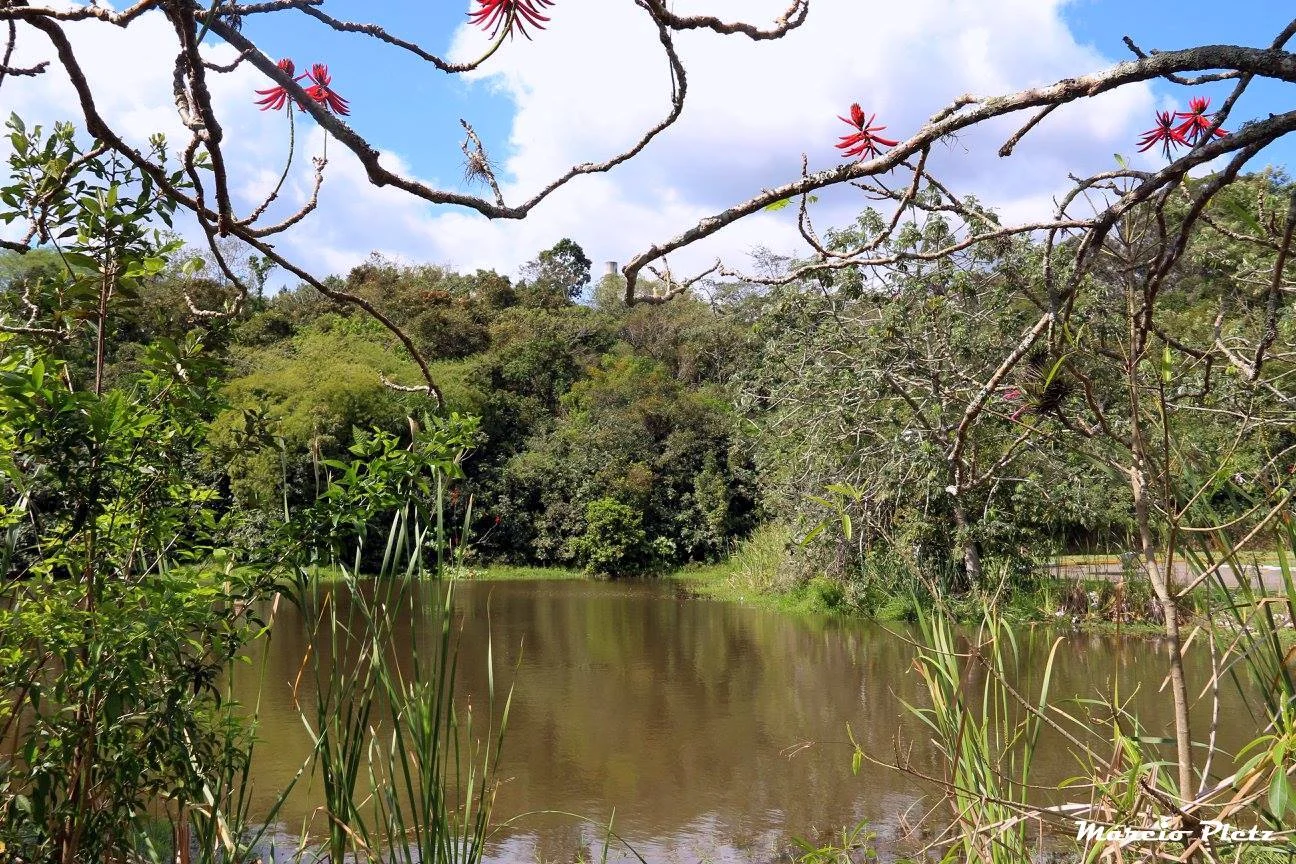 Foto do album São Leopoldo