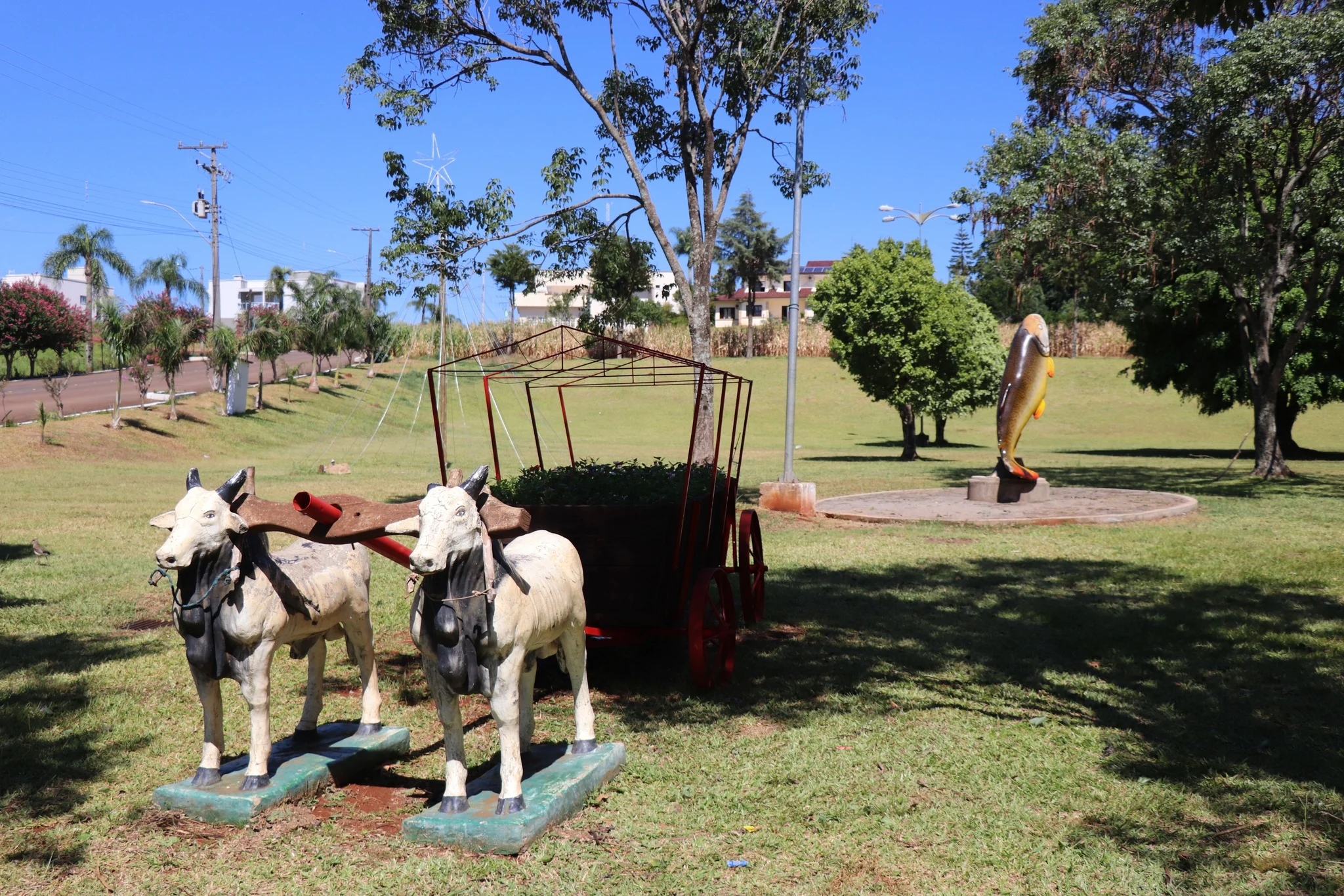 Foto do album Taquaruçu do Sul