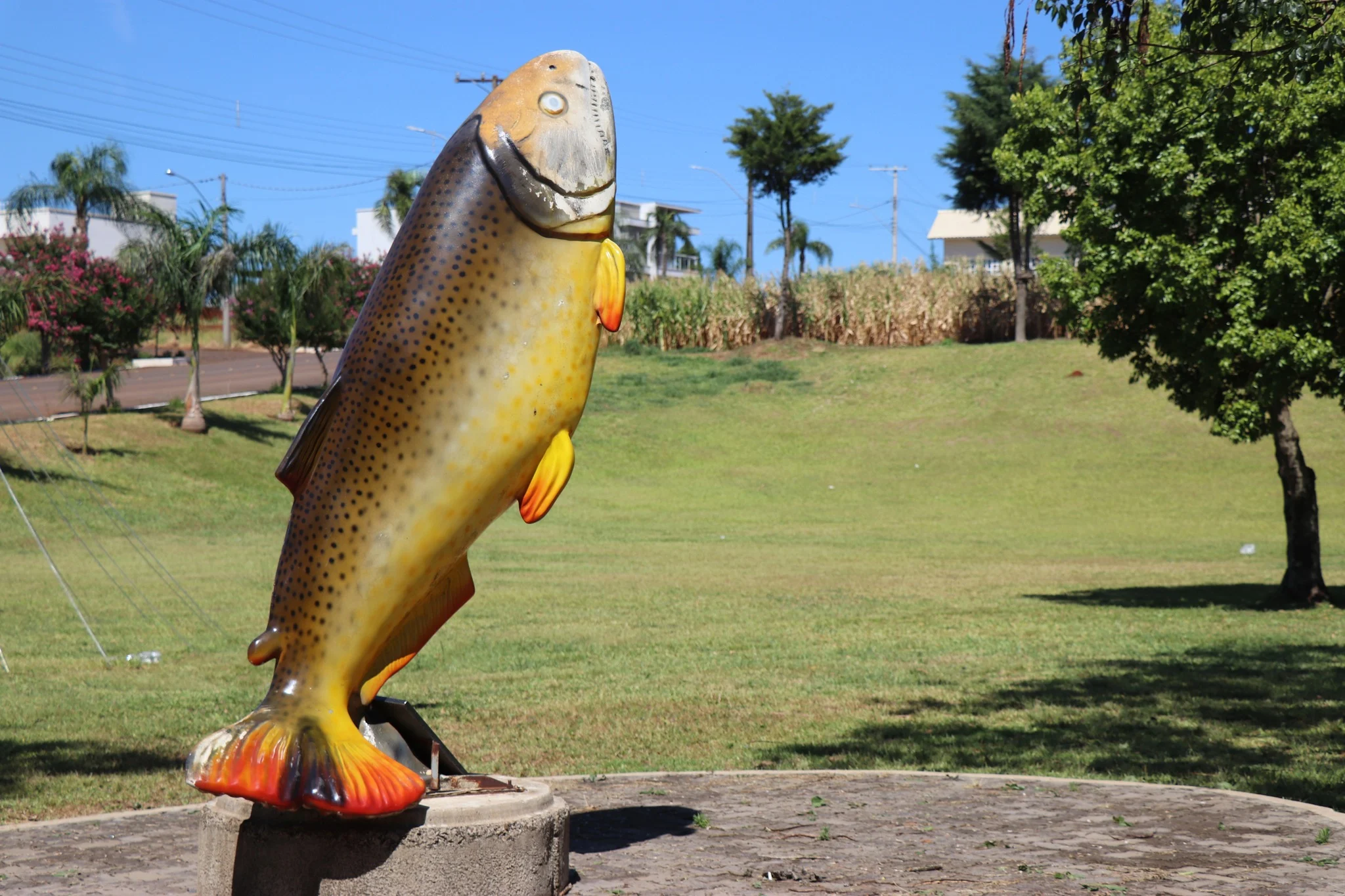 Foto do album Taquaruçu do Sul
