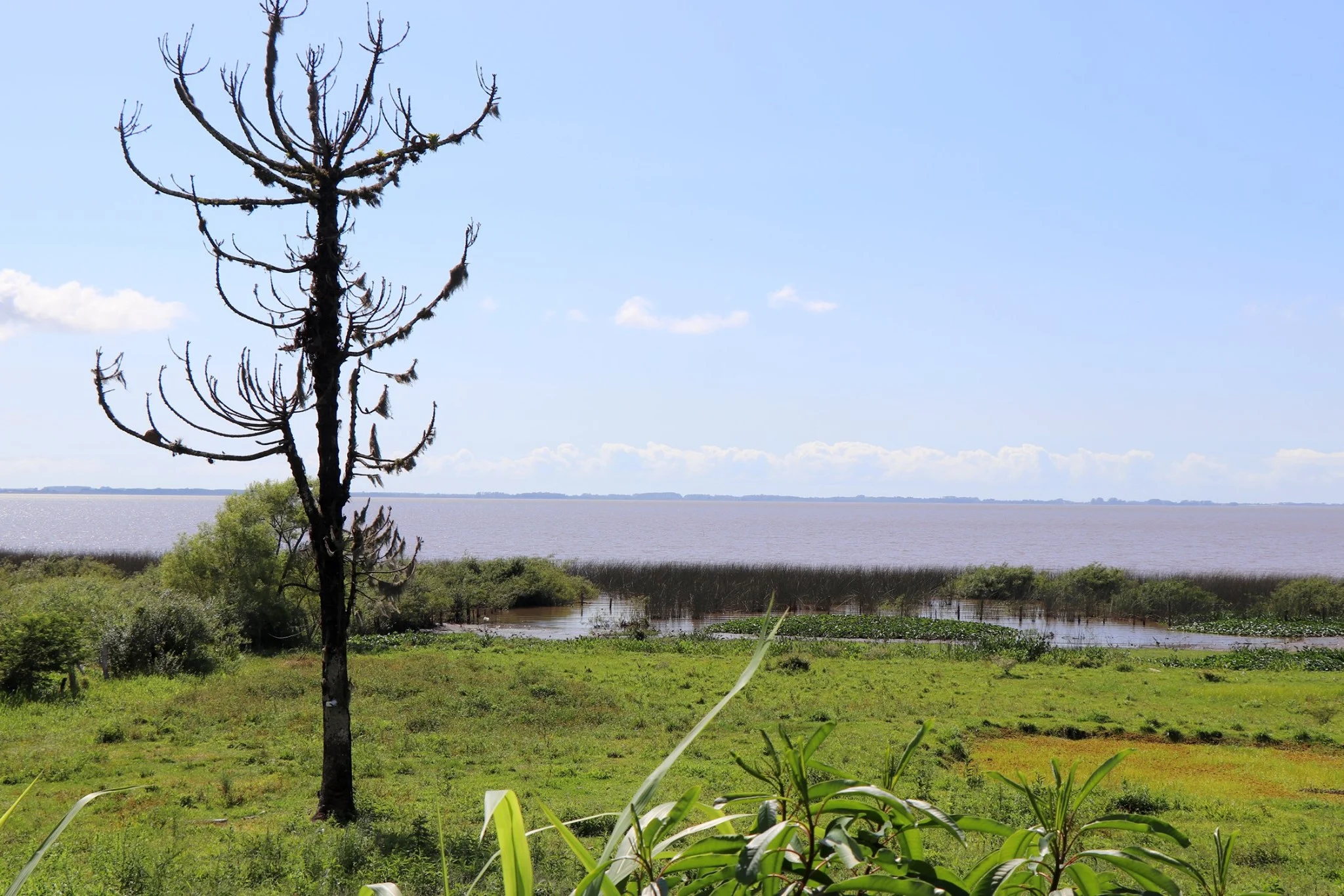 Foto do album Terra de Areia