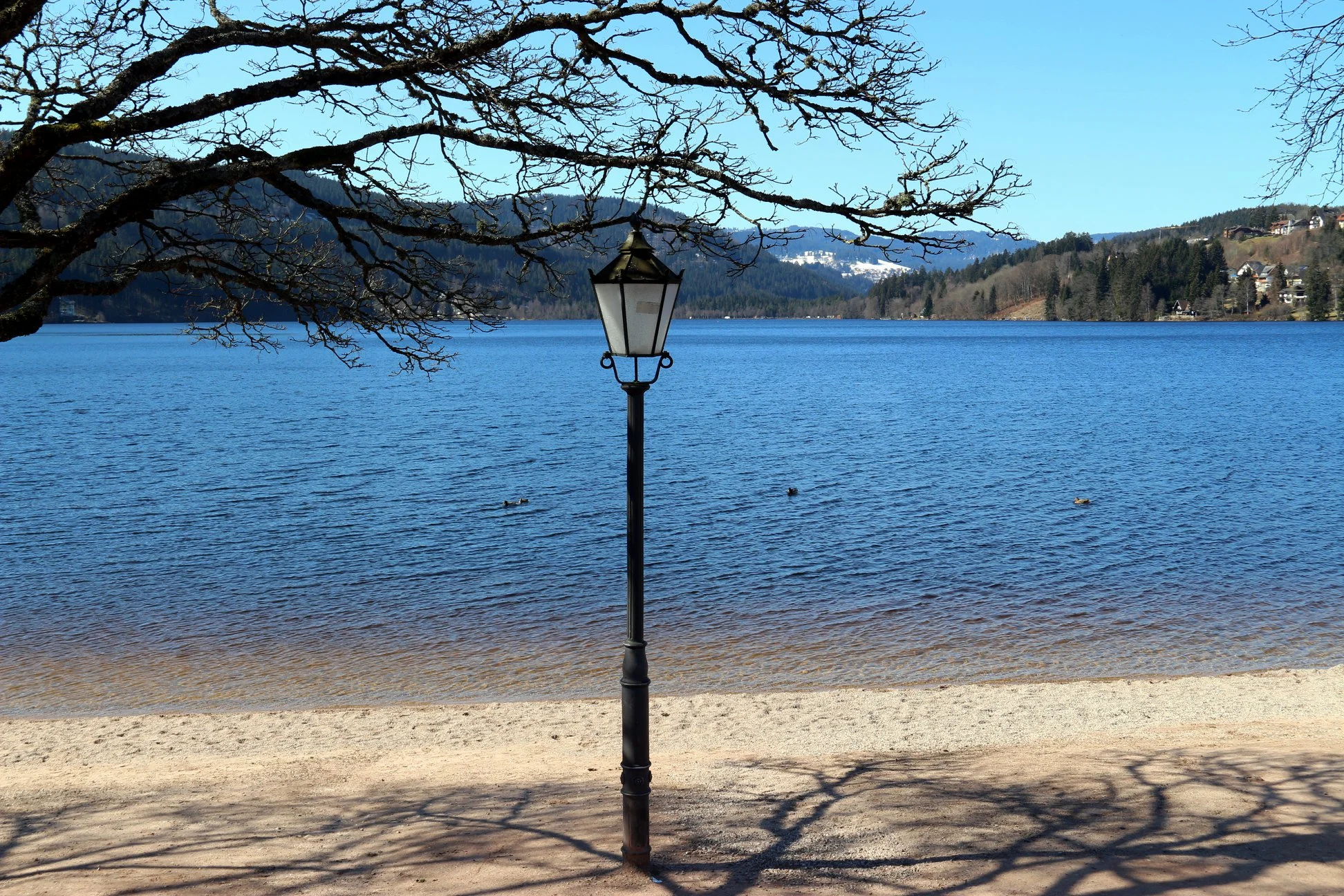 O Titisee possui cerca de dois quilômetros de comprimento