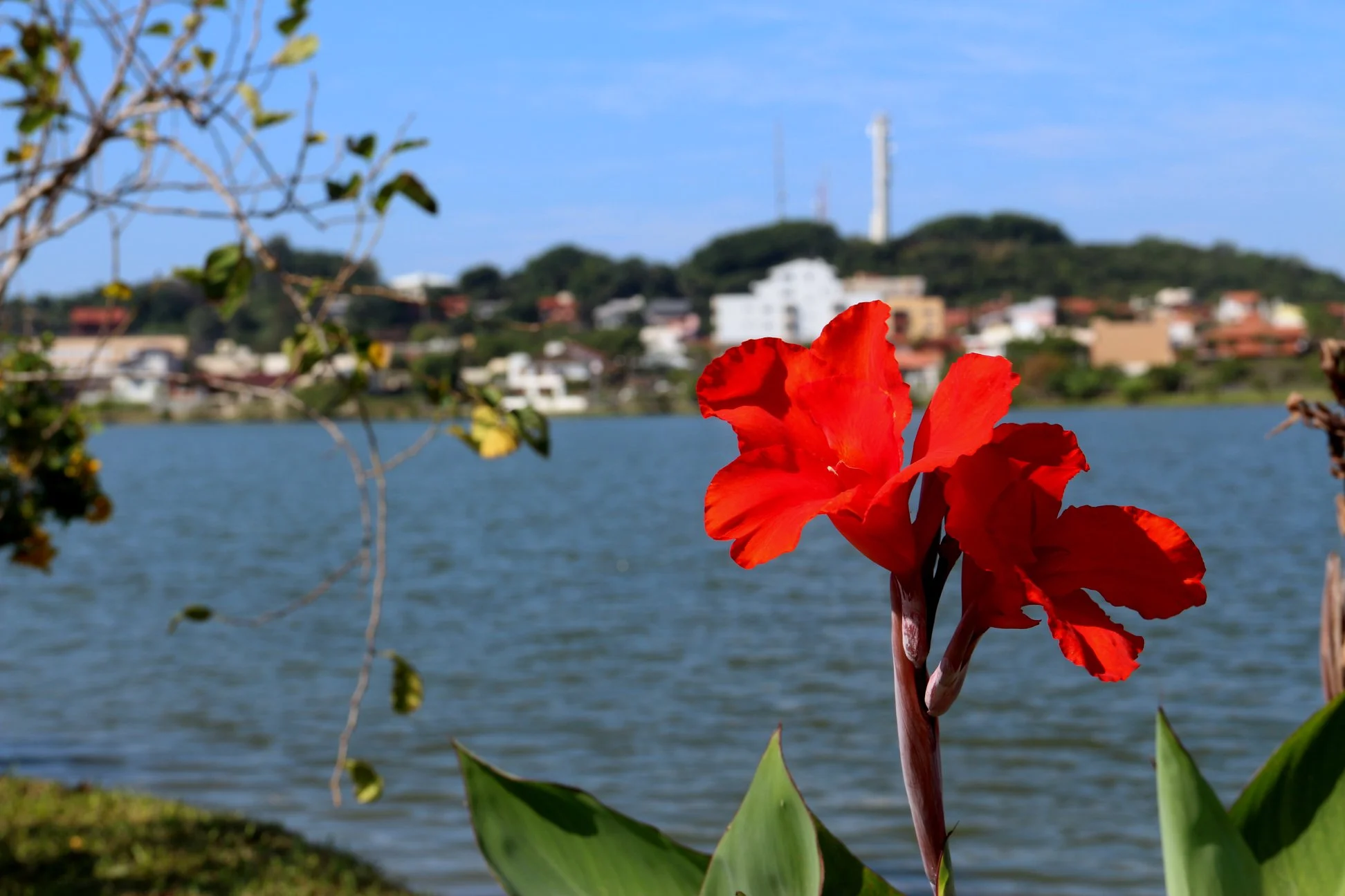Lagoa do Violão