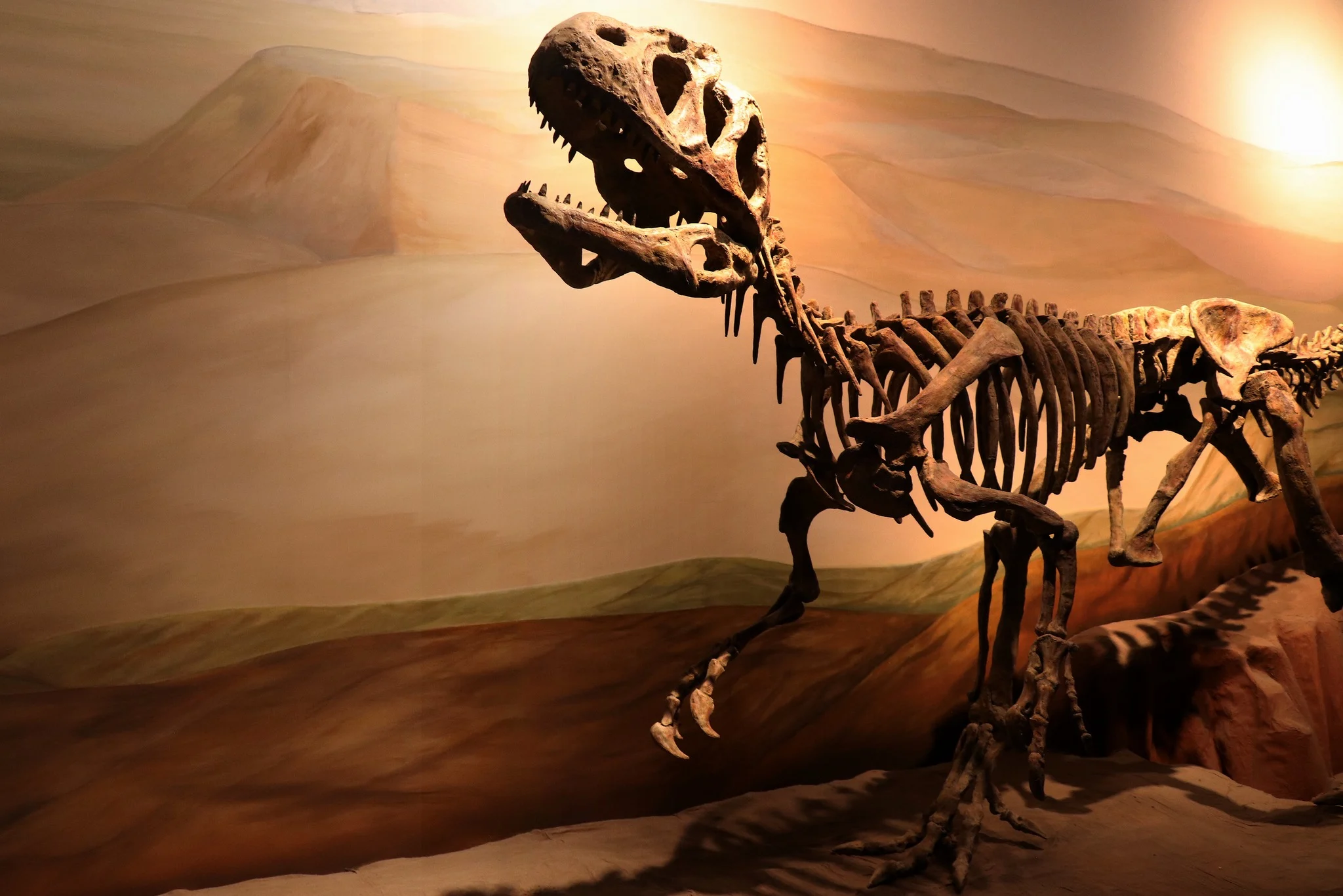Museu Paleontológico Egidio Feruglio