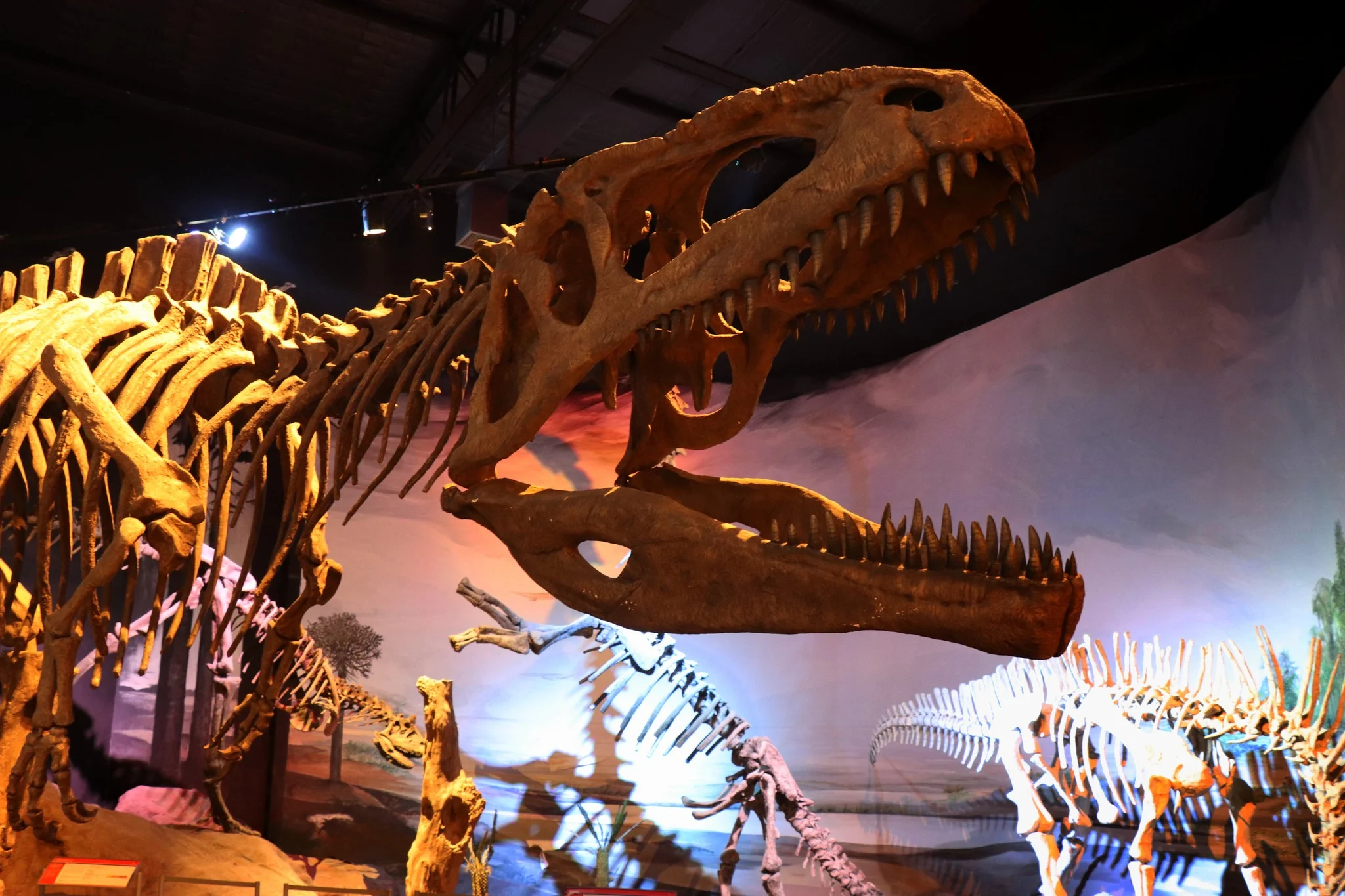Museu Paleontológico Egidio Feruglio