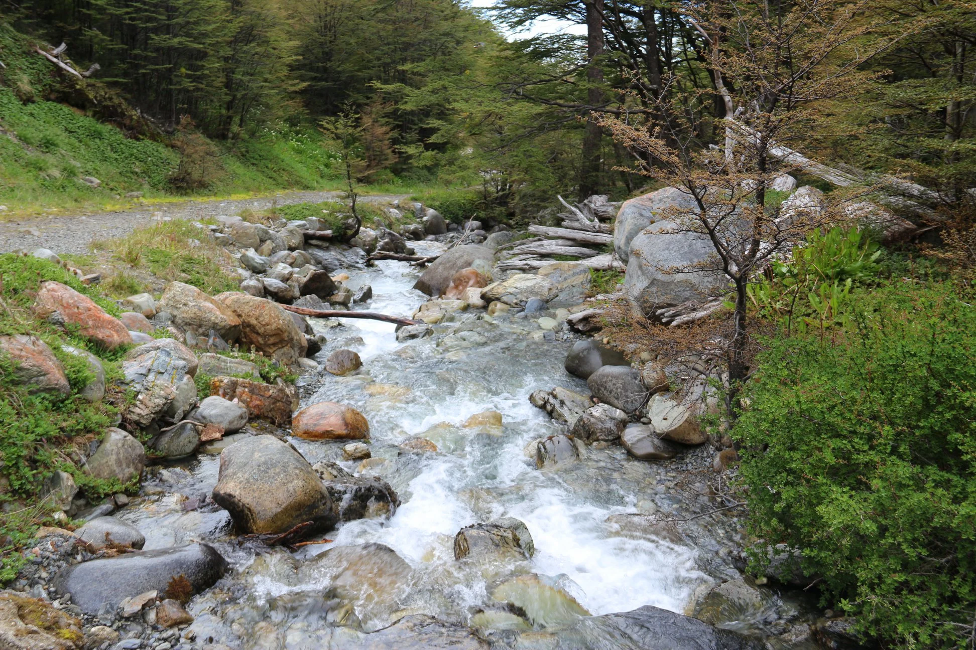 Foto do album Ushuaia