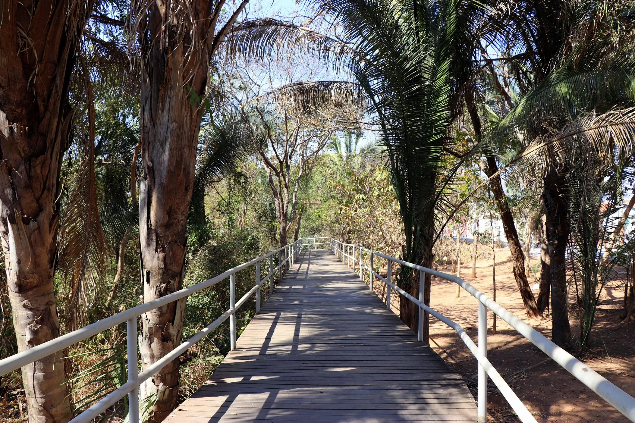 Parque Municipal Flor do Ipê