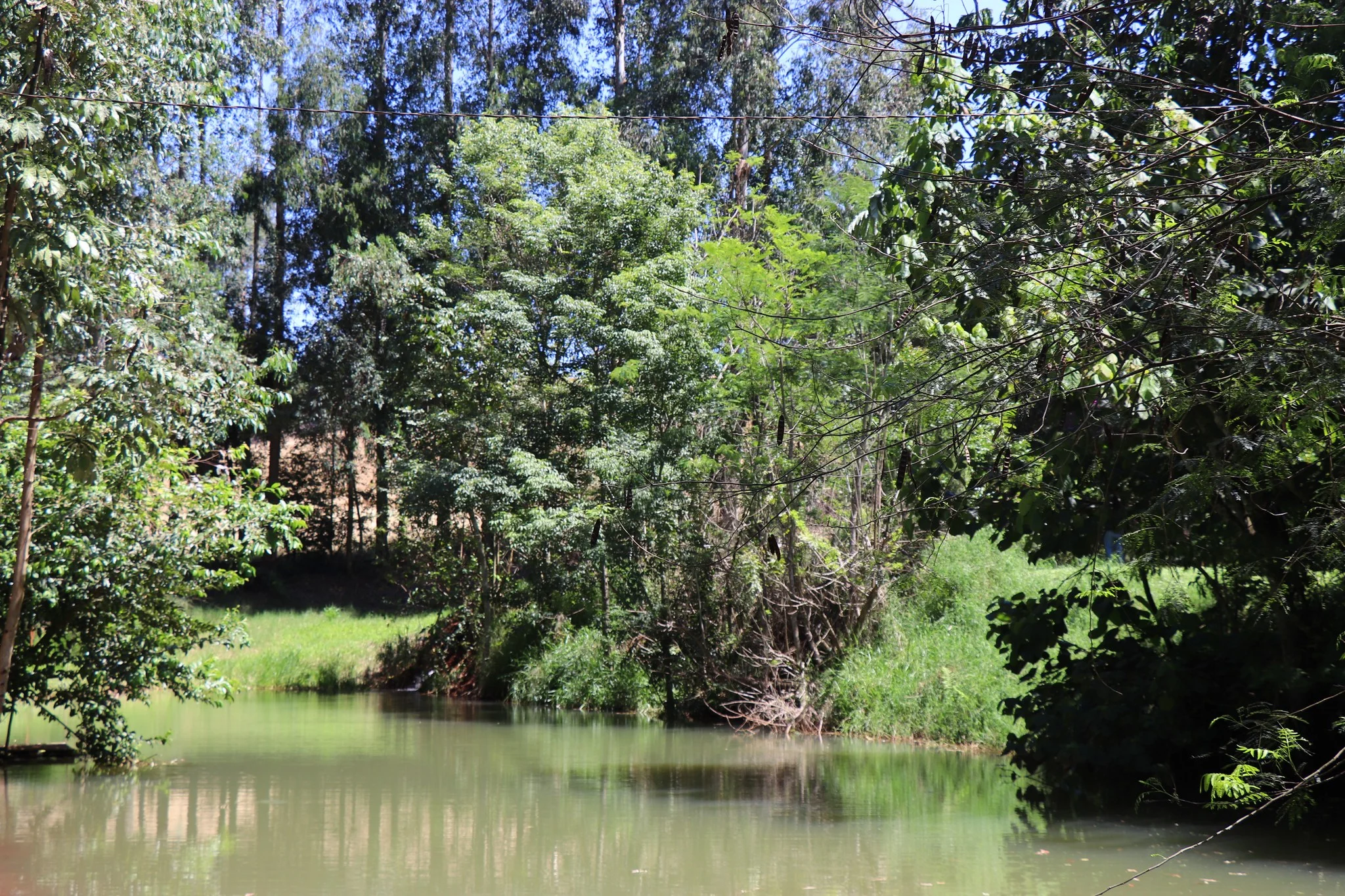 Foto do album Vera Cruz do Oeste