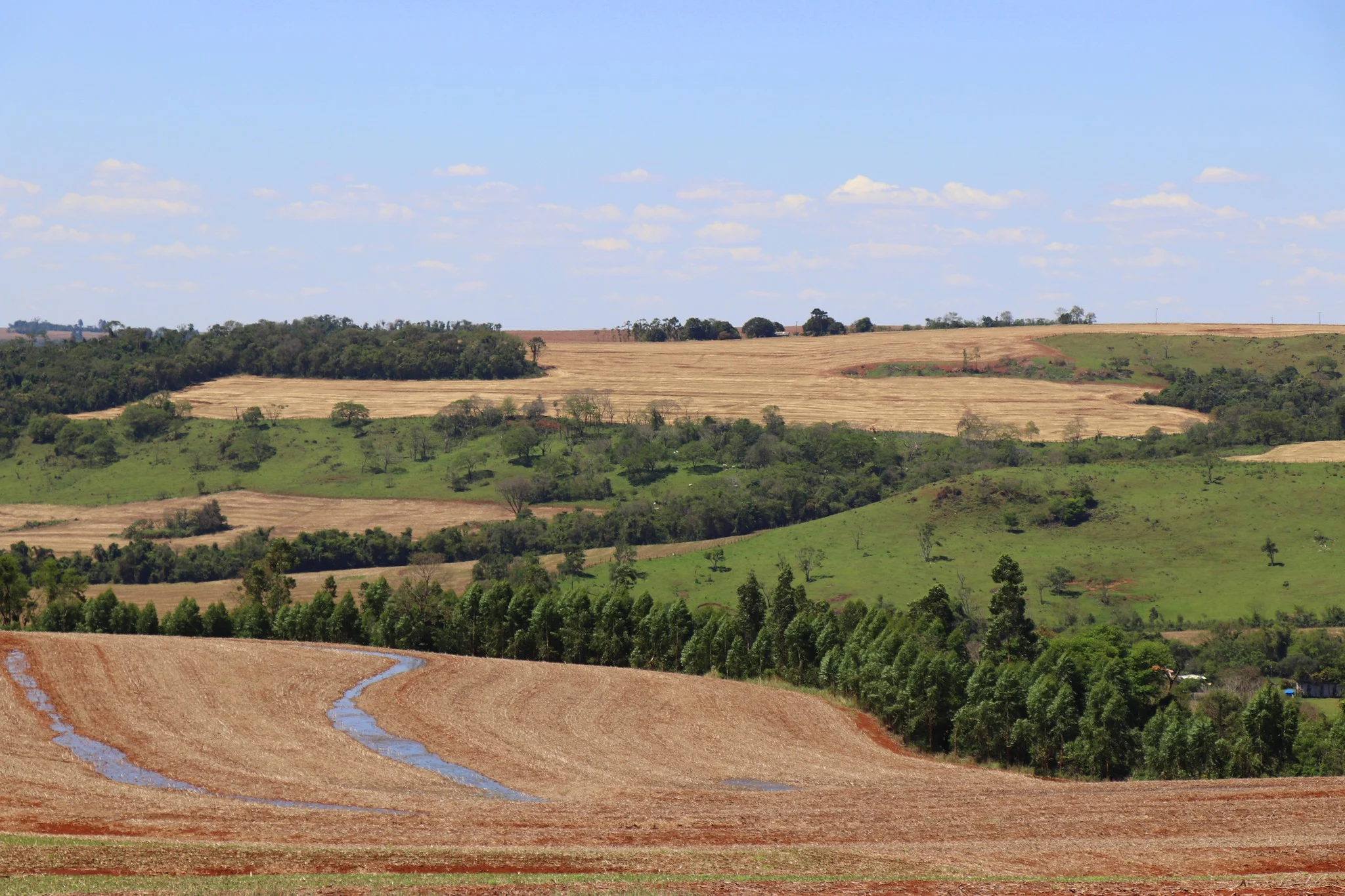 Foto do album Vera Cruz do Oeste