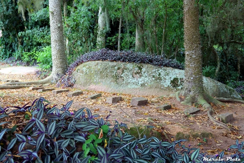 Foto do album Viamão