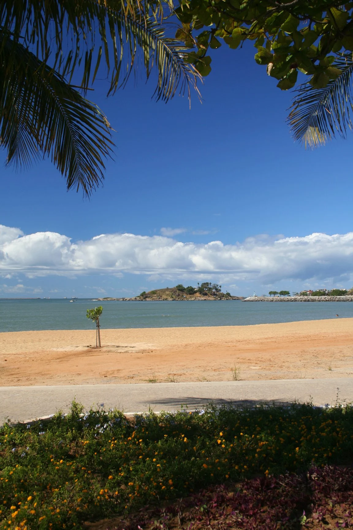 Foto do album Vitória