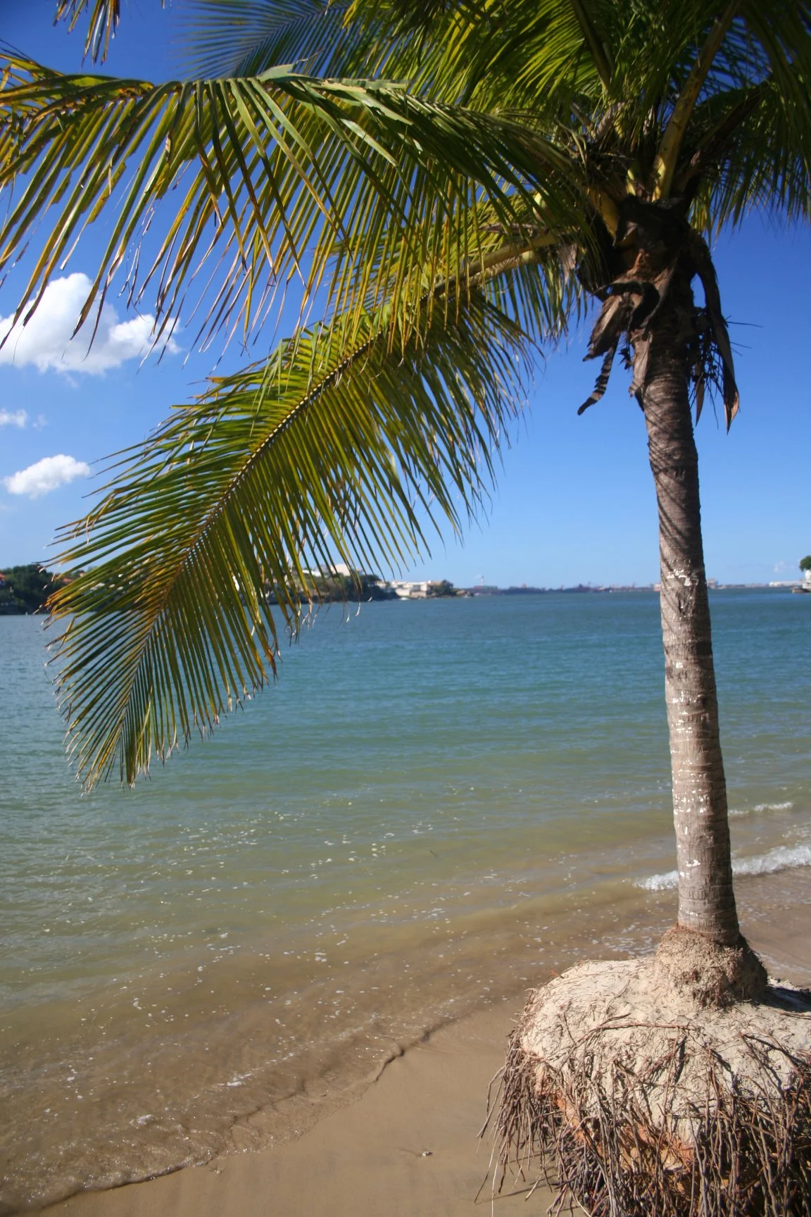 Foto do album Vitória
