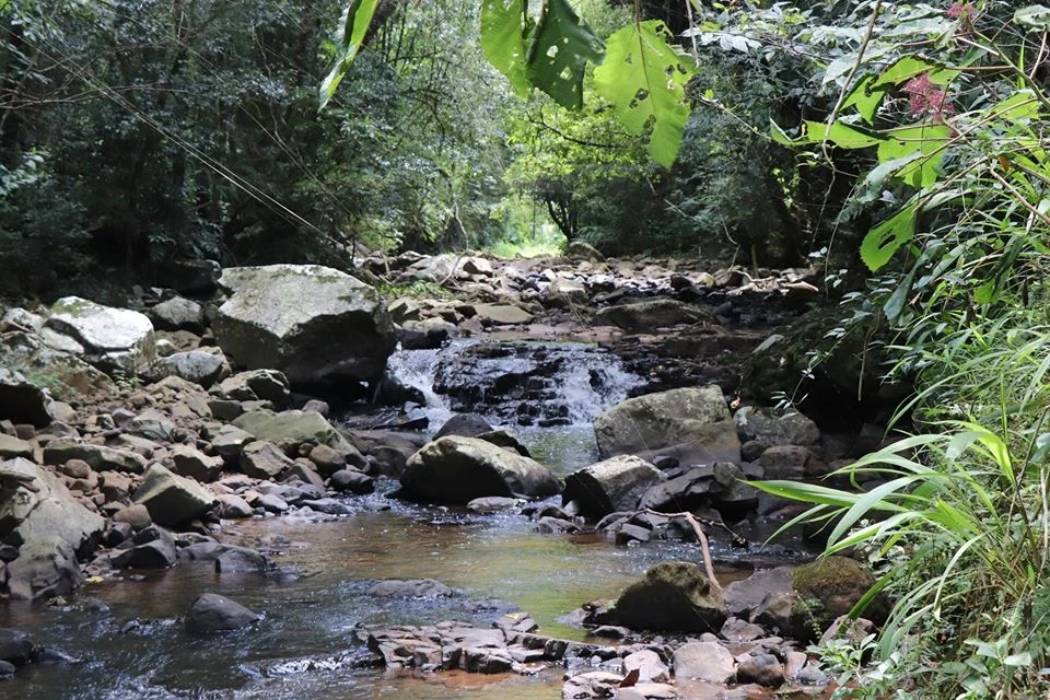 Foto do album Xavantina